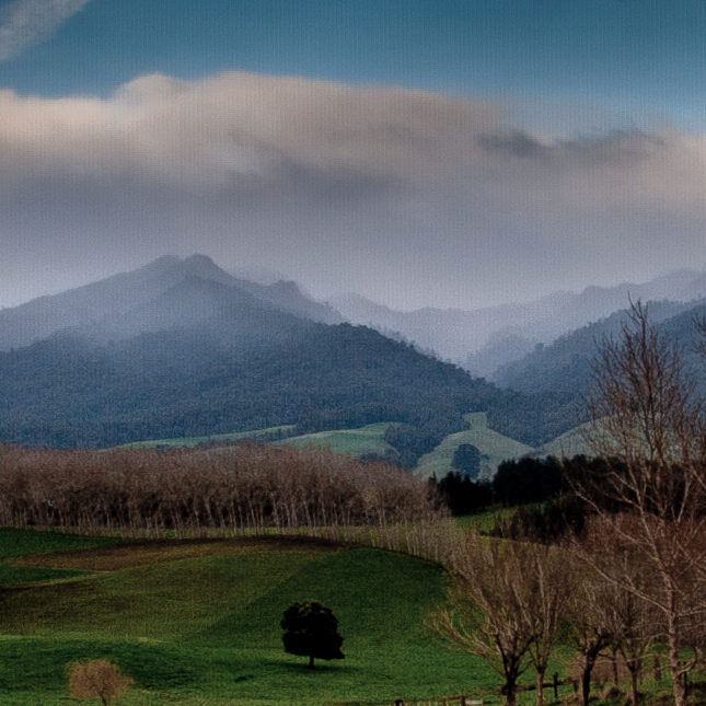 Mount Pirongia