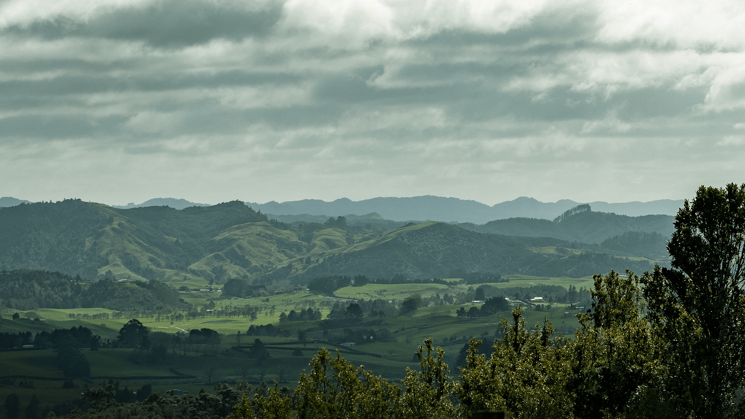 Mount Pirongia