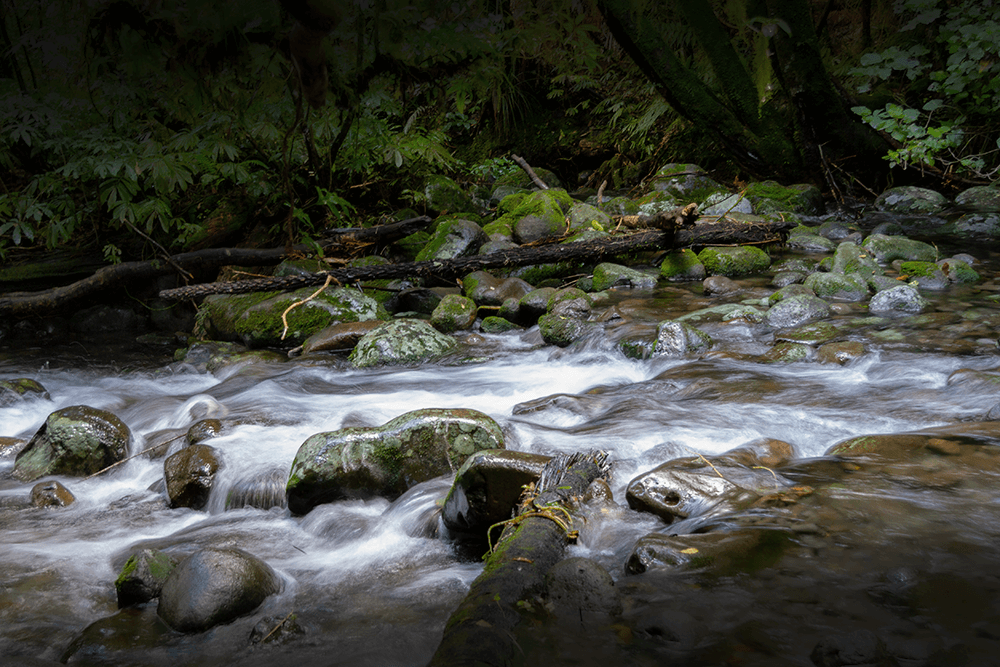 Spring Water